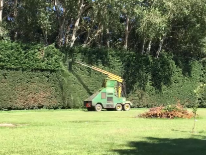 Outstanding Rural Hedge and Tree Trimming  Business for Sale Kaiapoi