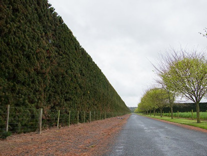SOLD Outstanding Rural Hedge and Tree Trimming SOLD Business for Sale Kaiapoi
