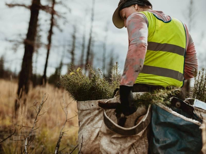 Silviculture Specialist Business for Sale Cantebury 