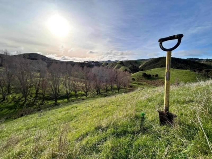 Silviculture Specialist Business for Sale Cantebury 