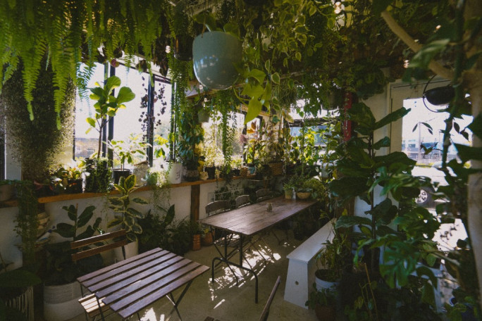 Cafe  for Sale Addington 