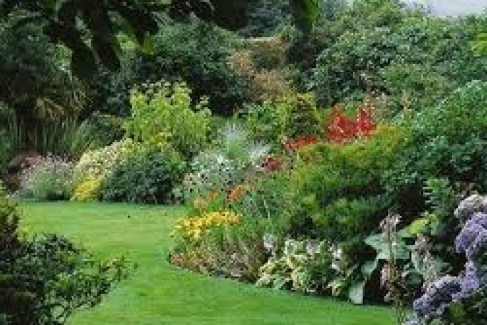 Landscaping Business for Sale Christchurch