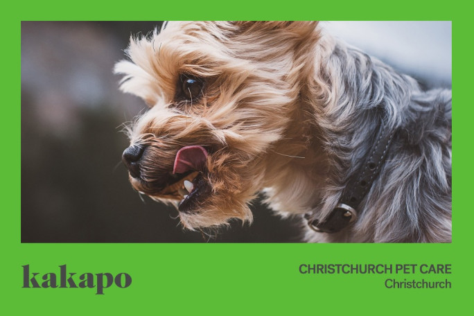 Pet Industry Business for Sale Christchurch location available on application 