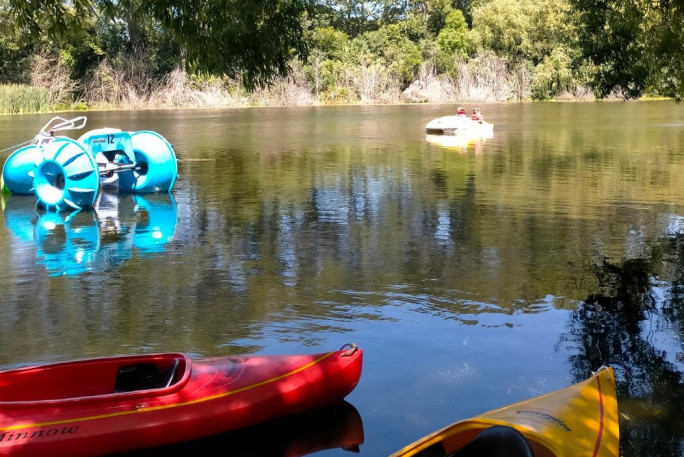 Iconic Boat Hire Business for Sale Christchurch