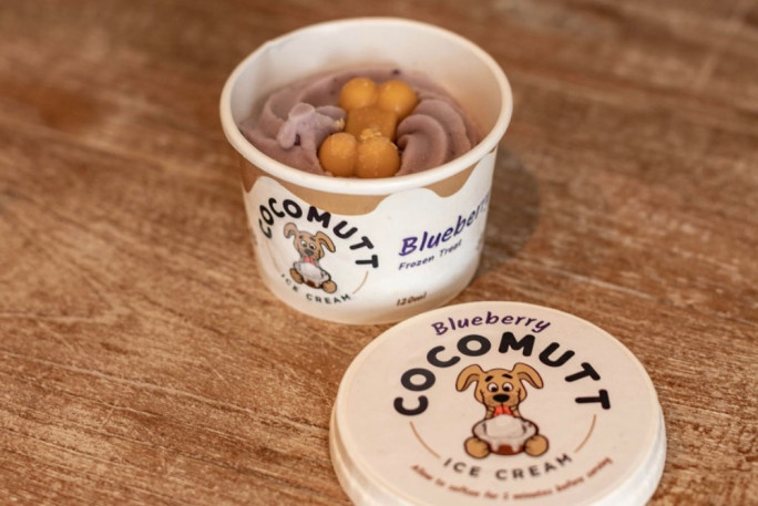 Dog Ice Cream Business for Sale Christchurch Dog Ice Cream Business for Sale Christchurch