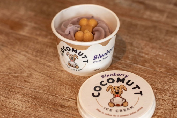 Dog Ice Cream Business for Sale Christchurch
