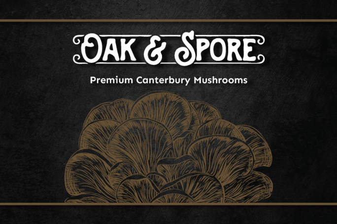 Gourmet Mushroom Business for Sale Canterbury Gourmet Mushroom Business for Sale Canterbury