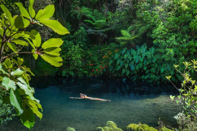 Wairua Lodge - Bed & Breakfast  for Sale Whitianga 