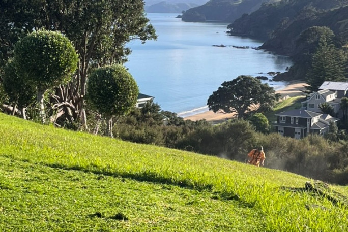 Lawn Mowing Contractor Business for Sale Coromandel Town 