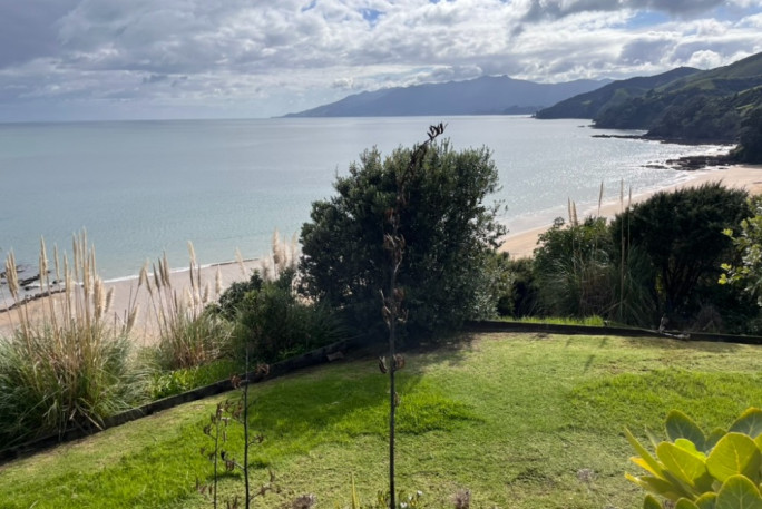 Lawn Mowing Contractor Business for Sale Coromandel Town 