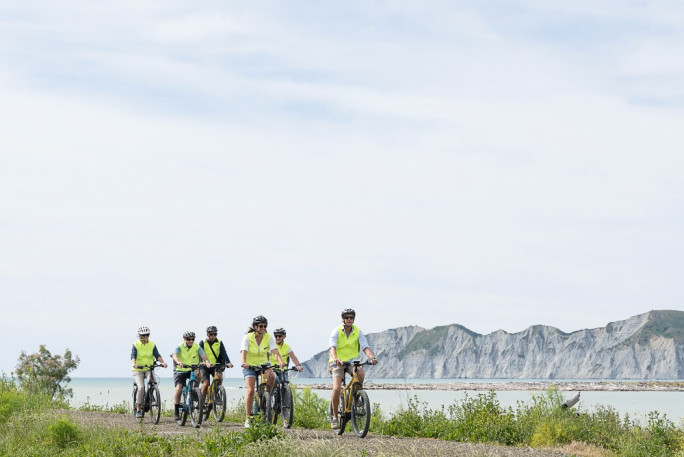 Tourism Business for Sale Gisborne