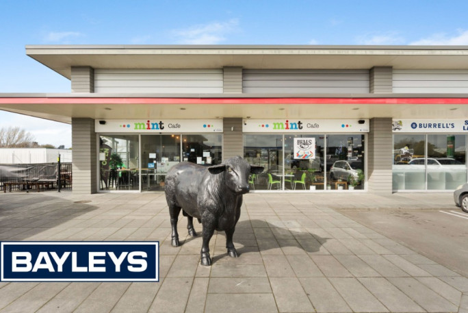 Cafe for Sale Bulls 