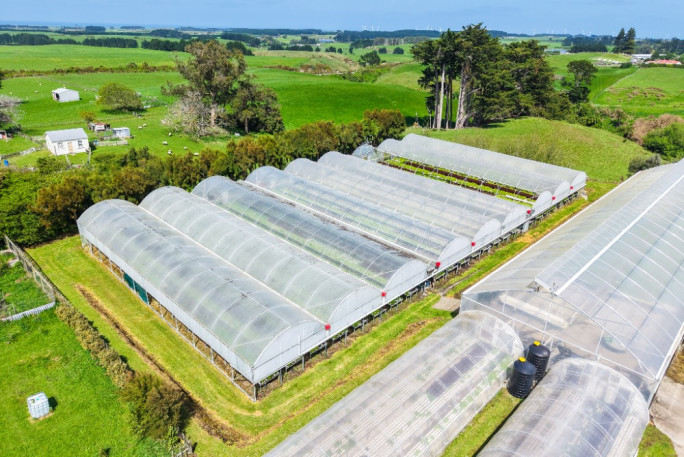 Hydroponic Business for Sale Waverley  