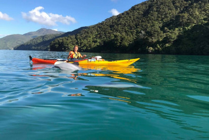Exciting Tourism Business for Sale Anakiwa Marlborough Sounds