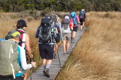 Eco Tourism Guided Walks Business for Sale Kahurangi National Park