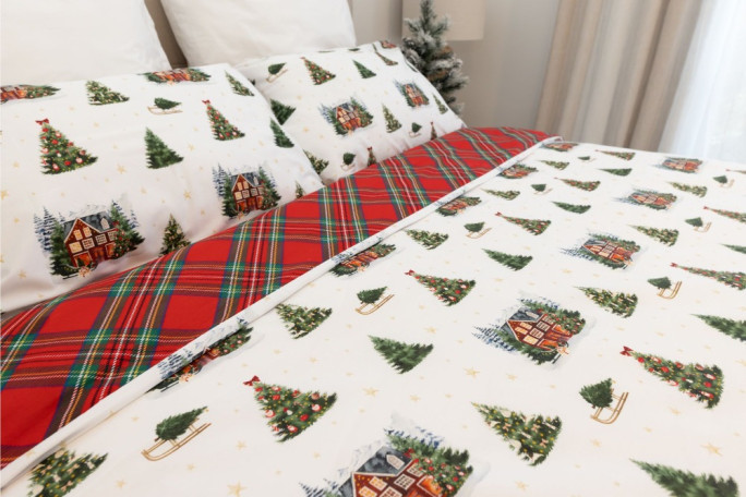 Online Christmas Jumpers Business for Sale NZ Anywhere 