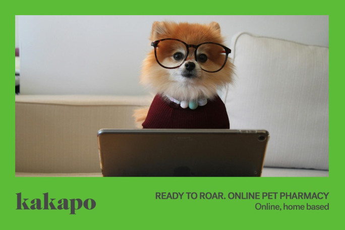 Online, Work From Home, Pet Industry Business for Sale Home based, relocatable to anywhere within NZ Online, Work From Home, Pet Industry Business for Sale Home based, relocatable to anywhere within NZ