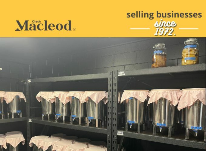Premium Kombucha Beverage Business for Sale New Zealand