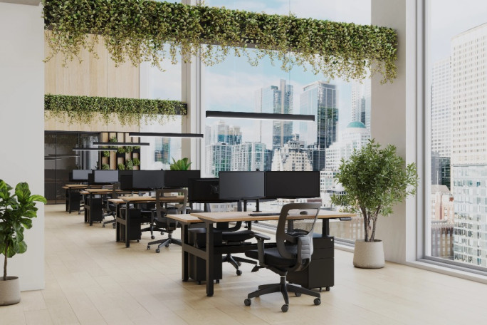 Office Furniture Business for Sale Wellington  