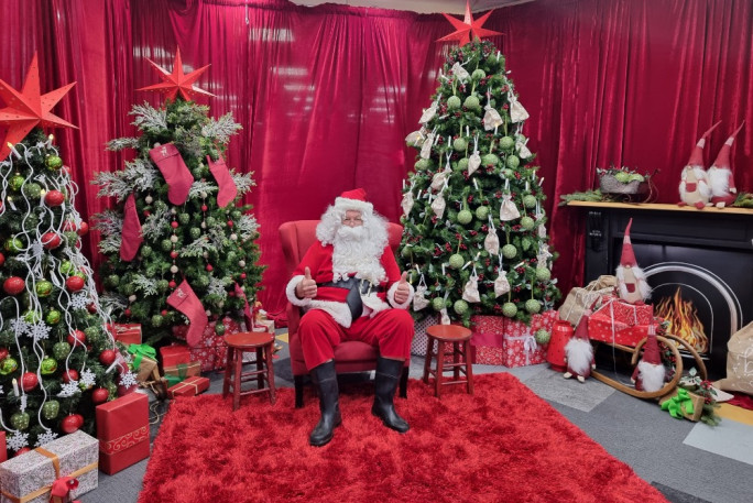 Christmas Decorating Business for Sale Wellington or NZ Anywhere 