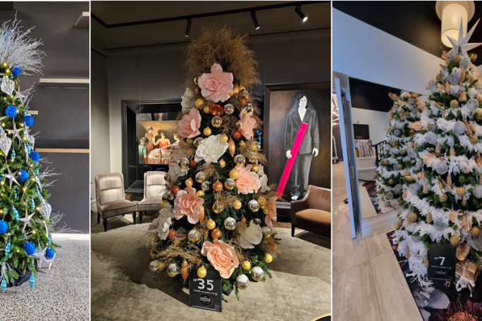 Christmas Decorating Business for Sale Wellington or NZ Anywhere 
