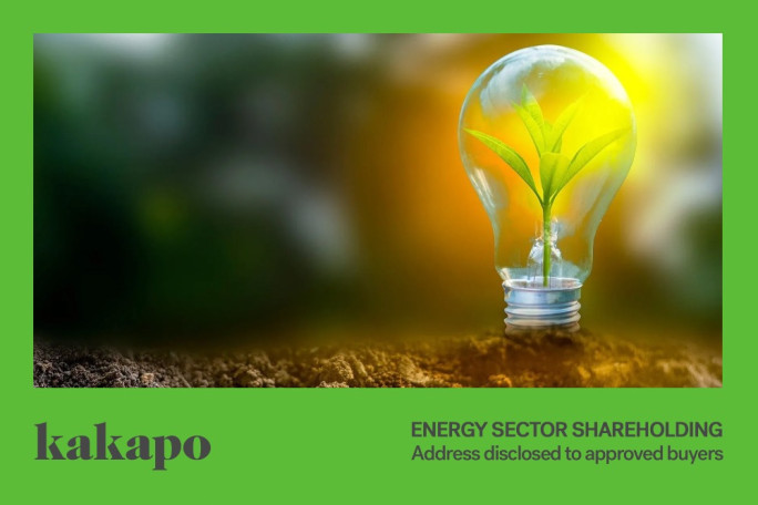 Energy Sector Business for Sale Confidential Location