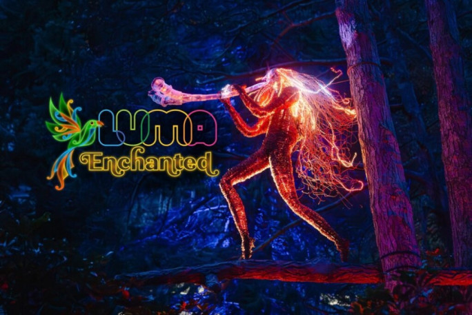 Immersive Light Experience Business for Sale Queenstown
