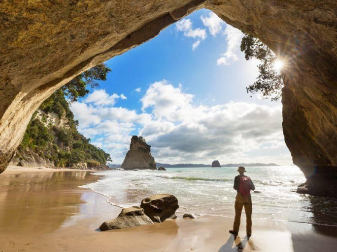 NZ Tours Business for Sale NZ Wide 