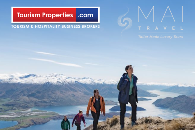 Travel Agent Business for Sale Work from Home