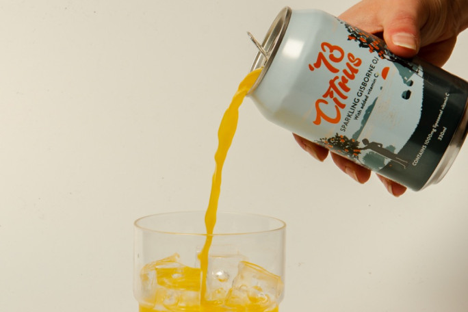 Beverage Manufacturing Business for Sale North Island based 