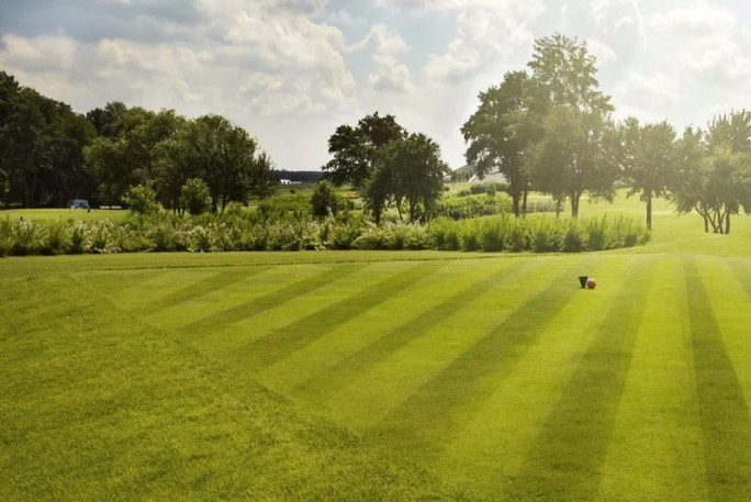 Sports Turf Renovation Business for Sale Lower North Island 