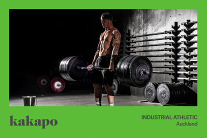 Fitness Import & Distribution Business for Sale Auckland & Mangawhai