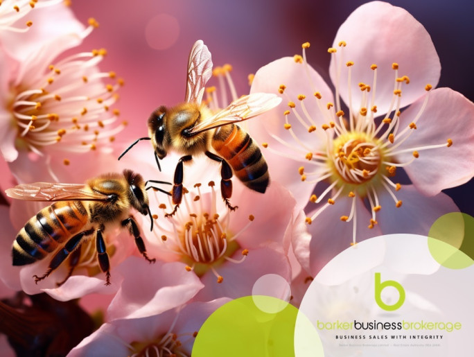 Honey Production Business for Sale Kerikeri Northland