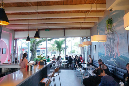 Burger Bar for Sale Kerikeri 