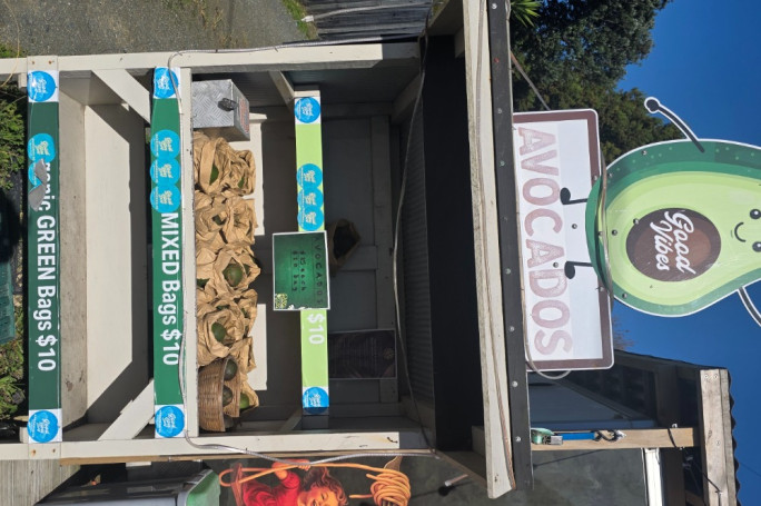 Pizza & Pasta Trailer  Business for Sale Mangawhai  