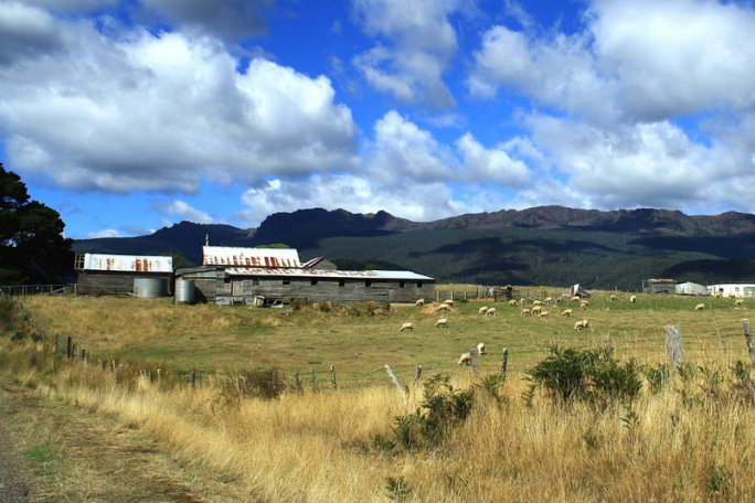 Agricultural Servicing Business for Sale Oamaru & South Canterbury Agricultural Servicing Business for Sale Oamaru & South Canterbury