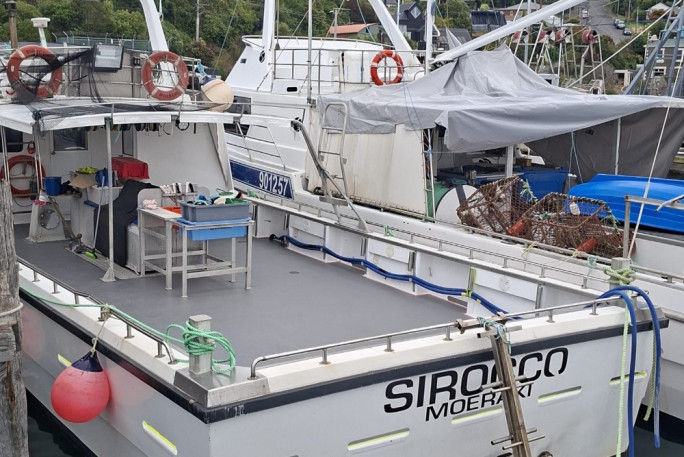 Fishing Charter Business  Business for Sale Moeraki South Island  