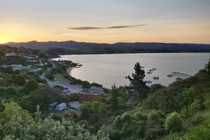 Fishing Charter Business  Business for Sale Moeraki South Island  