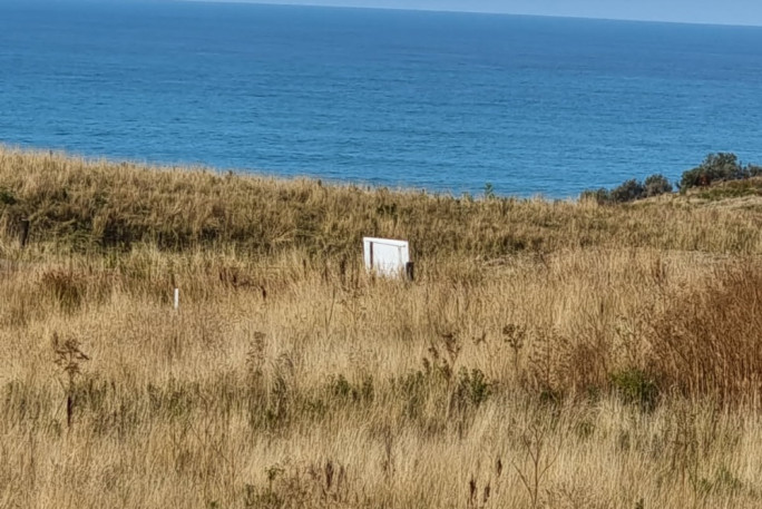 Fishing Charter Business  Business for Sale Moeraki South Island  
