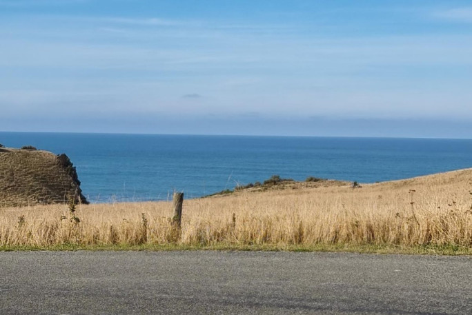 Fishing Charter Business  Business for Sale Moeraki South Island  