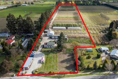 Market Garden Orchard and Retail Shop Business for Sale Ettrick, Central Otago