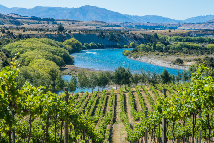 Tourism Operator Business for Sale Wanaka 