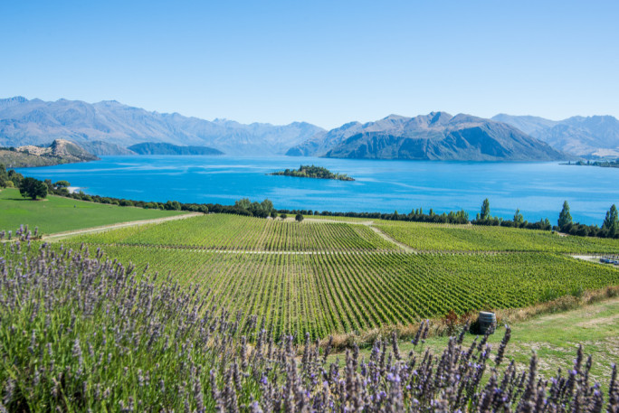 Tourism Operator Business for Sale Wanaka 