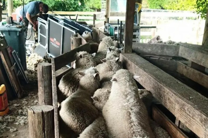 Agricultural Manufacturing Business for Sale Palmerston North 