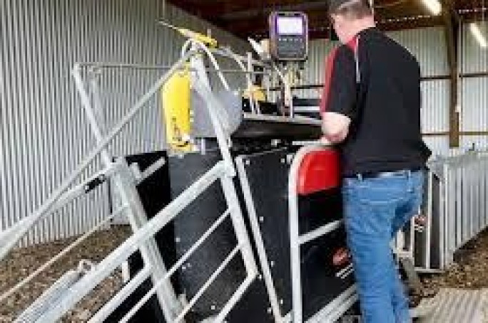 Agricultural Manufacturing Business for Sale Palmerston North 