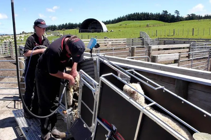 Agricultural Manufacturing Business for Sale Palmerston North 