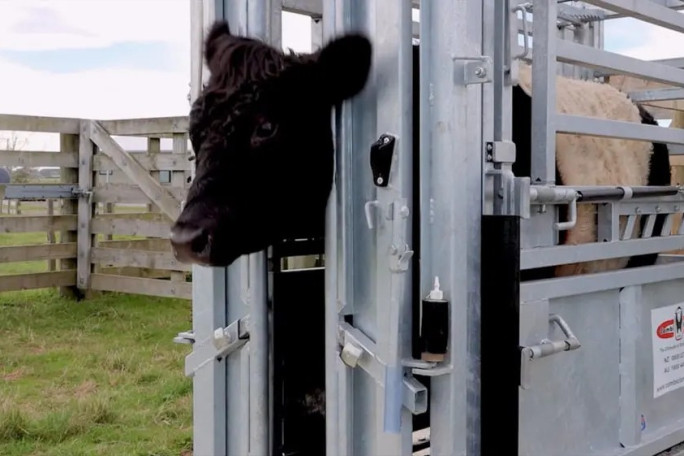 Agricultural Manufacturing Business for Sale Palmerston North 