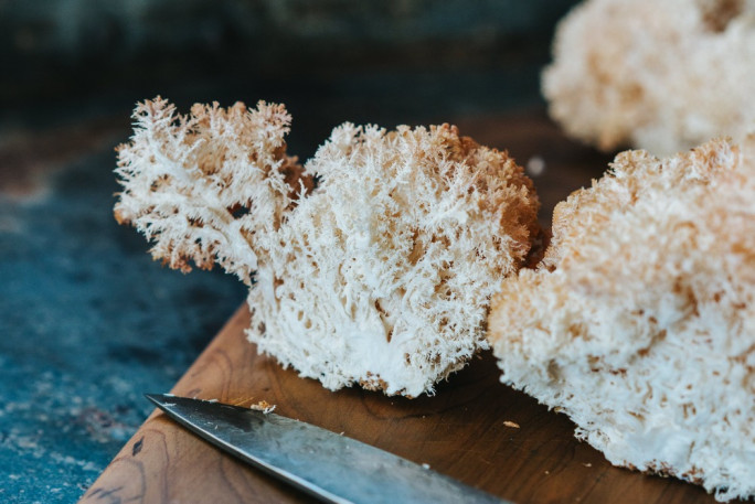 Mushroom Farm Business for Sale Queenstown  Mushroom Farm Business for Sale Queenstown