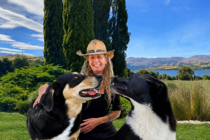 Dog Food Business for Sale Lake Hayes 