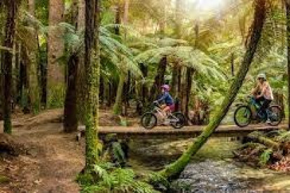 Going Blue Adventure Services Business for Sale Queenstown